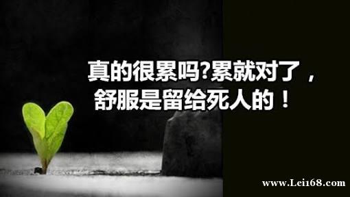 你若不坚强,懦弱给谁看.