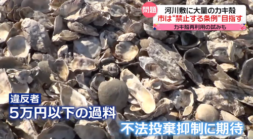 在日华人大妈挖牡蛎乱扔壳儿被警察带走竟跪下求饶：我老人家放过我吧！