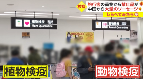 日本机场开始“严打”，被扣的东西真是五花八门……