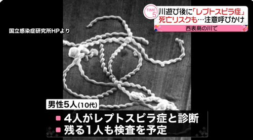 /attachment/editor/20230920/1695198231ztcb4.png