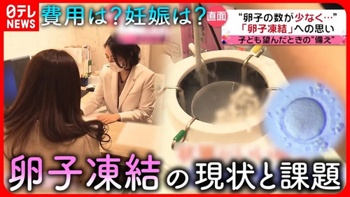 日本宣布：东京女性冻卵补助30万日元！针对少子化新对策！