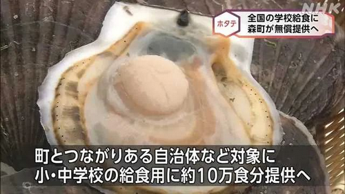 日本扇贝堆积成山卖不掉，免费送10万份给中小学校当午餐！