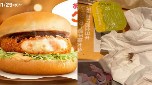 纳尼？日本麦当劳汉堡吃了1/4跑出活蟑螂，求心理阴影面积
