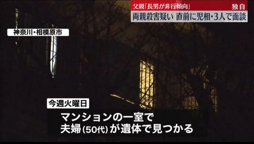 日本版吴谢宇：15岁少年弑父杀母、刀刀致命，父母生前曾求助“儿子想杀我们！”