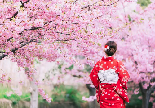 今年去日本看樱花方便啦！换钱、翻译都超简单……