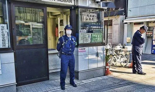 速报！一中国游客北海道偷窃被捕！恐将面临 10 年以下有期徒刑！