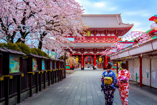 即将迎来满开！日本东京最受民众欢迎的3个赏樱胜地！