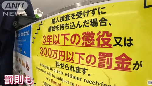 日本成田机场严查外国旅客行李，一名韩国大妈三次携带“违禁品”被警告......