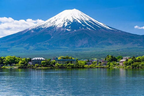 因游客实在太多，日本小镇想出“狠招”遮挡富士山脚下这一网红打卡点......