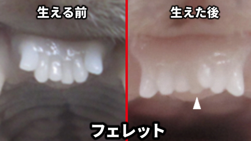 /attachment/editor/20240507/1715080560fixba.png