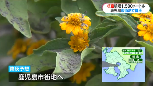 日本一火山发生“爆炸性”喷发，临近市区被火山灰覆盖......