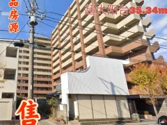 草加10分3LDK_72.82m²+35.34m²全屋超大阳