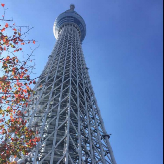 招二厨和服务员