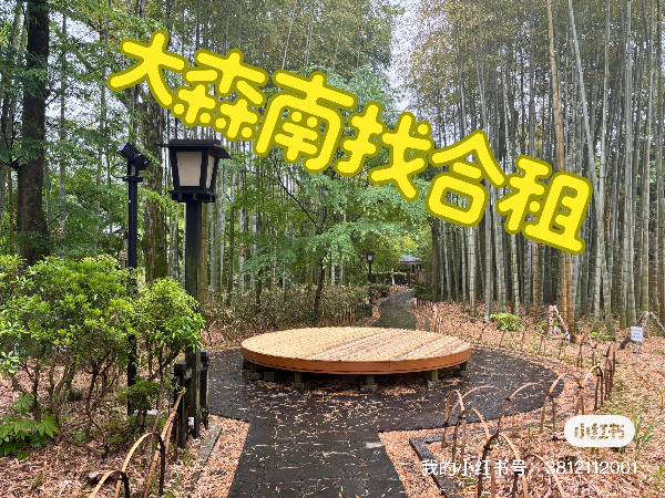 大田区大森南找合租