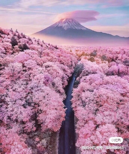内装招工