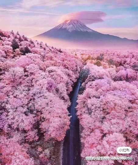 内装招工