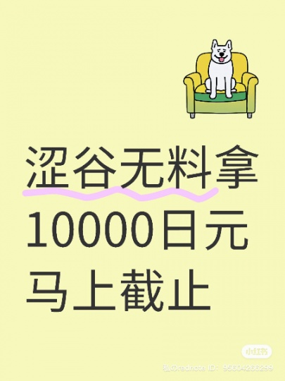 新用户注册软件薅羊毛10000日元